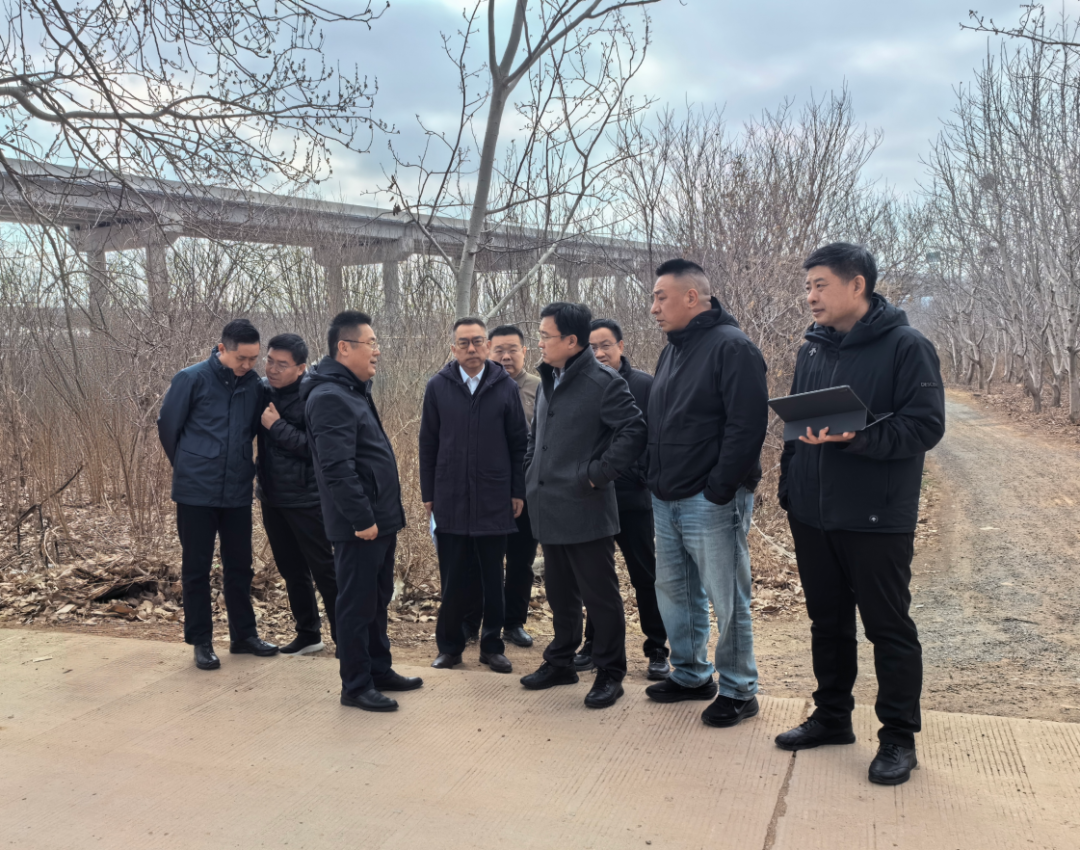 济中城发建管集团三措并举 | 全力护航郑庄片区项目攻坚履约(图6)